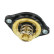 Thermostat, coolant, Thumbnail 3