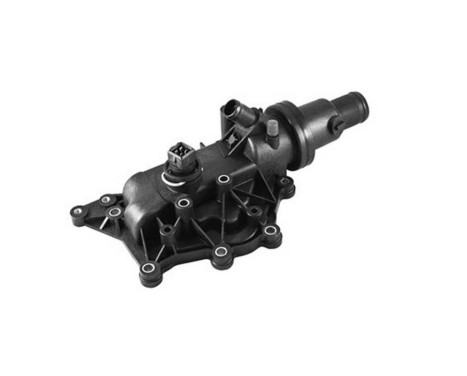 Thermostat, coolant