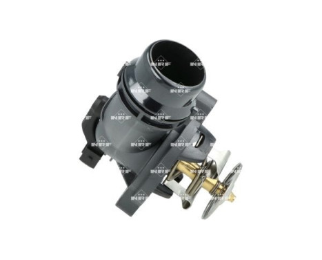 Thermostat, coolant