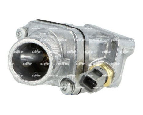Thermostat, coolant