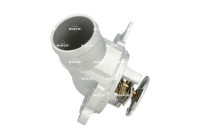 Thermostat, coolant