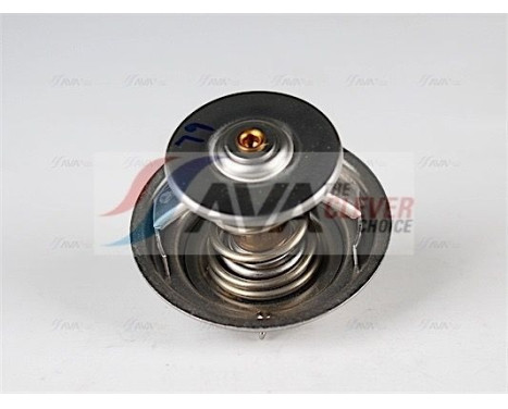 Thermostat, coolant, Image 4