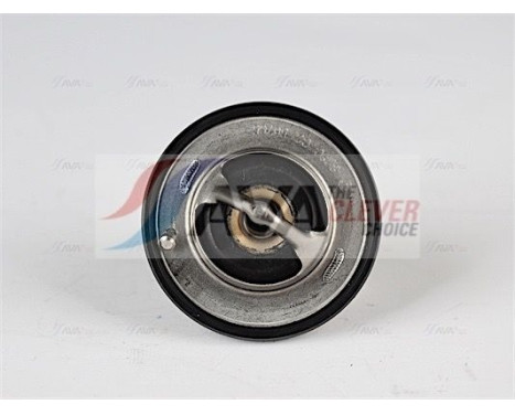 Thermostat, coolant, Image 2