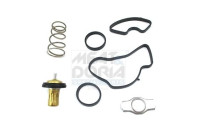 Thermostat, coolant