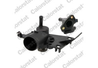 Thermostat, coolant