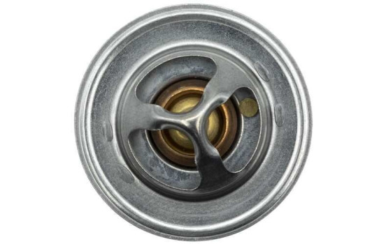 Thermostat, coolant, Image 6