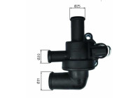Thermostat, coolant