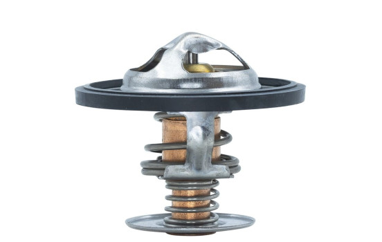 Thermostat, coolant, Image 6