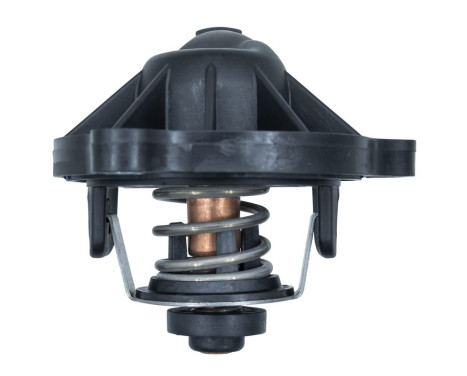 Thermostat, coolant, Image 8