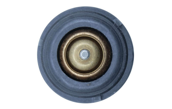 Thermostat, coolant, Image 8