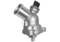 Thermostat, coolant