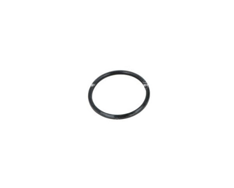 Thermostat, coolant, Image 6