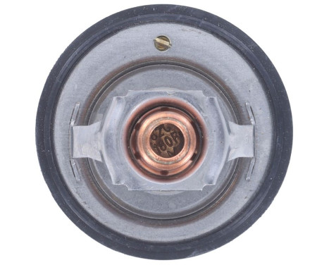 Thermostat, coolant, Image 6