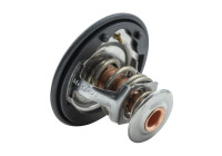 Thermostat, coolant