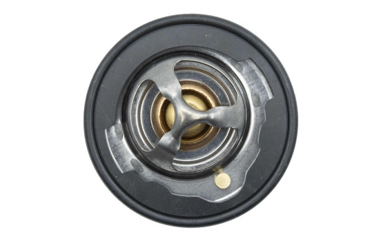 Thermostat, coolant, Image 5