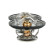 Thermostat, coolant, Thumbnail 4