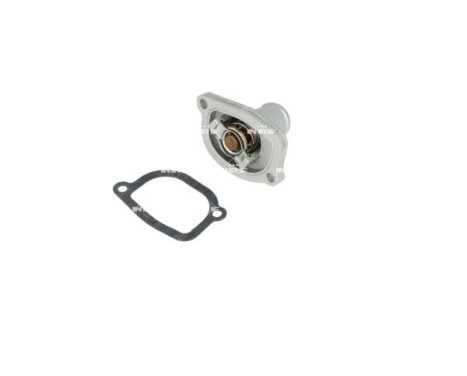 Thermostat, coolant