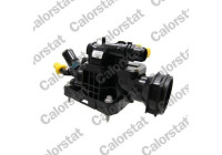 Thermostat, coolant