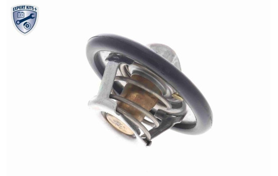 Thermostat, coolant, Image 10