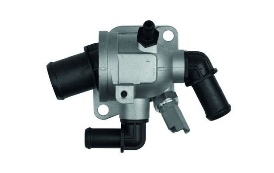 Thermostat, coolant, Image 2