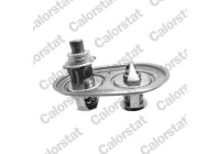 Thermostat, coolant