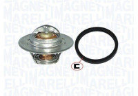 Thermostat, coolant