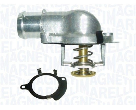 Thermostat, coolant