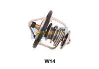 Thermostat, coolant
