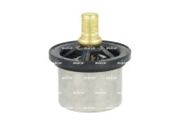 Thermostat, coolant