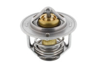 Thermostat, coolant