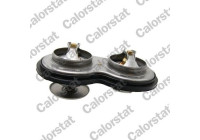 Thermostat, coolant