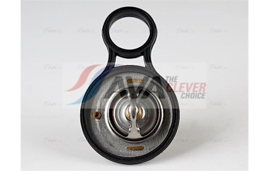 Thermostat, coolant, Image 6
