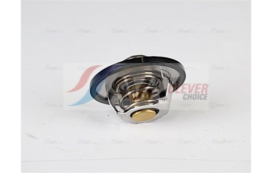 Thermostat, coolant, Image 2