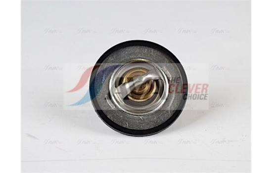 Thermostat, coolant, Image 3