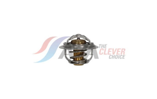 Thermostat, coolant