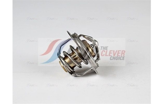 Thermostat, coolant, Image 2