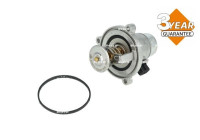Thermostat, coolant