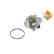 Thermostat, coolant