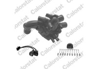 THERMOSTAT KIT