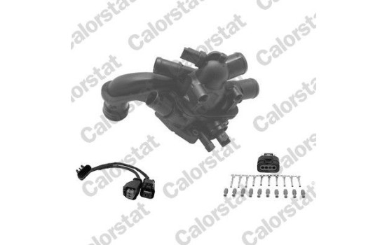 THERMOSTAT KIT