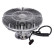Clutch, radiator fan 181733 FEBI
