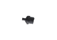 Additional Water Pump