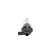 Additional Water Pump, Thumbnail 3