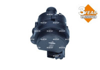 Auxiliary water pump (cooling water circuit)