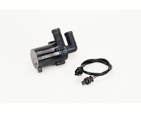 Auxiliary water pump (cooling water circuit)