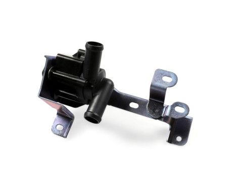 Auxiliary water pump (cooling water circuit)