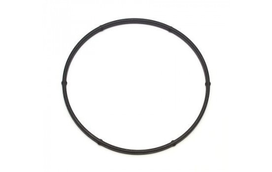 Gasket, water pump 104.200 Elring