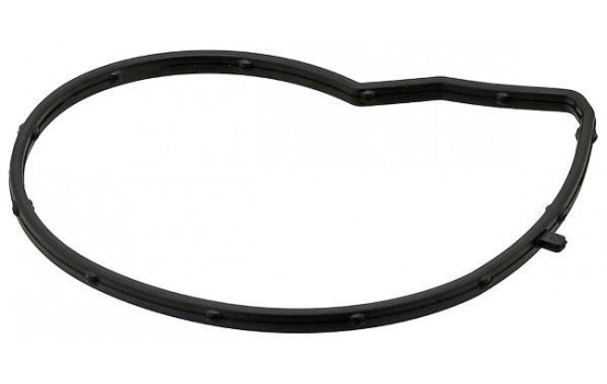 Gasket, water pump 387.590 Elring