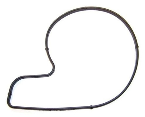 Gasket, water pump 527.900 Elring