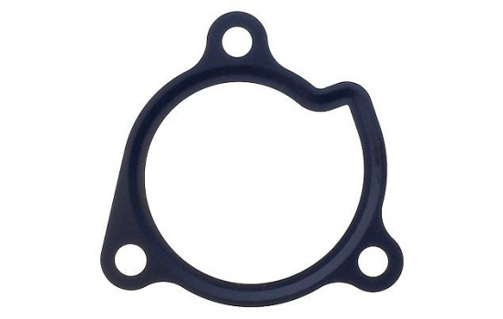 Gasket, water pump 572.720 Elring